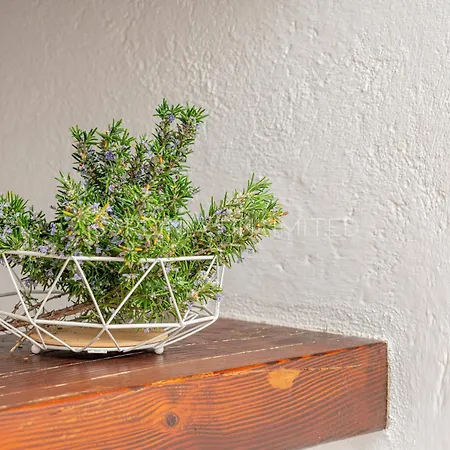 ヴィラ Tamarix コスタ・パラディーゾ